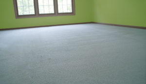 Carpet-Cleaning-Image